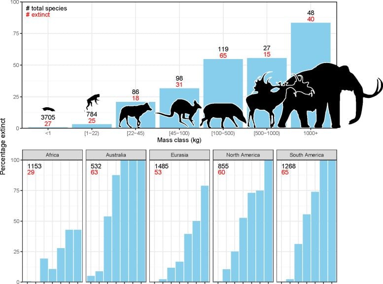 Charts on extinct mammals