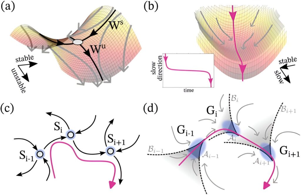 Balancing instability and robustness: a new mathematical framework for the dynamics of natural systems