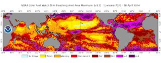 Global map of the maximum coral bleaching alert zone from NOAA Coral Reef Watch 5 km resolution satellite, from January 1, 2023 to April 10, 2024. This figure shows regions around the world that have experienced high levels of marine thermal stress (bleaching alert levels 2 to 5) that can cause coral bleaching and mortality at the reef scale.