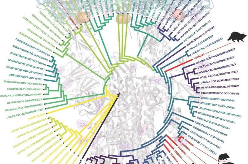 Virus that causes COVID-19 is widespread in wildlife, Virginia Tech scientists say