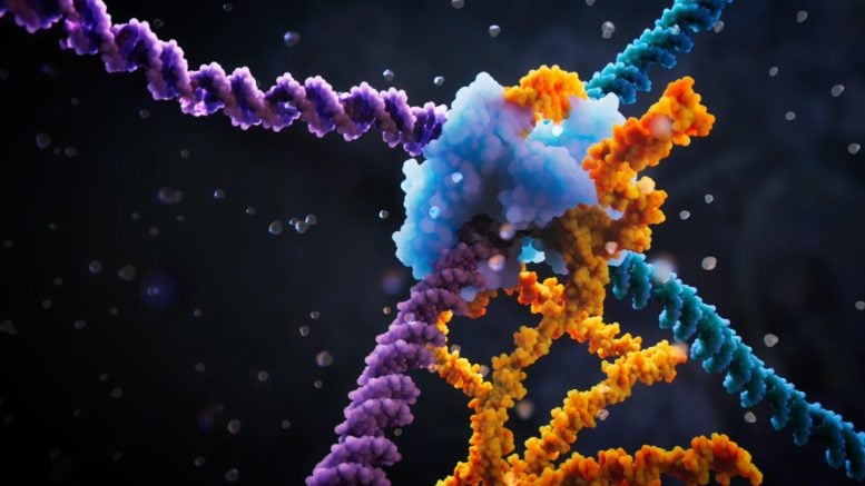 Bridge recombinase mechanism