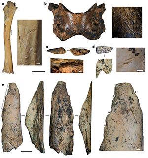 Denisovan tools and bones discovered in the Baishiya karst cave on the Tibetan Plateau. Credit: Nature