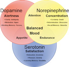 A Venn diagram comparing dopamine (alertness), norepinephrine (focus), and serotonin (satisfaction). The center of the diagram indicates 