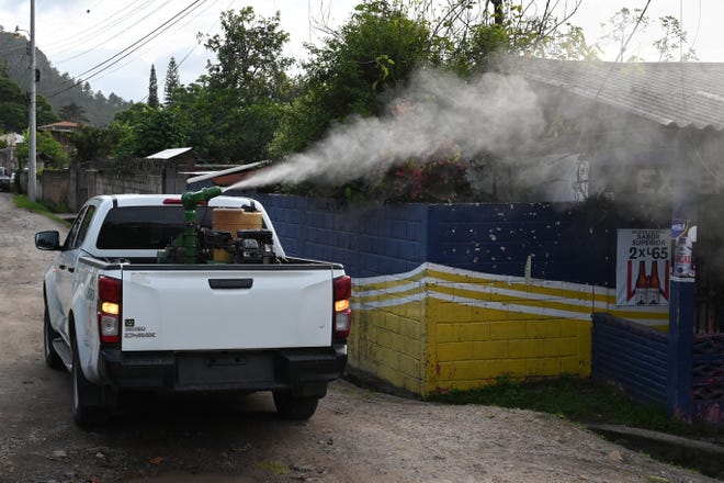 A government vehicle sprays product to combat the Aedes aegypti mosquito that transmits dengue fever during a fumigation operation in Tegucigalpa, Honduras, July 12, 2024.