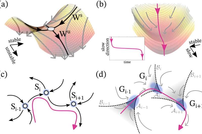 Balancing instability and robustness: a new mathematical framework for the dynamics of natural systems