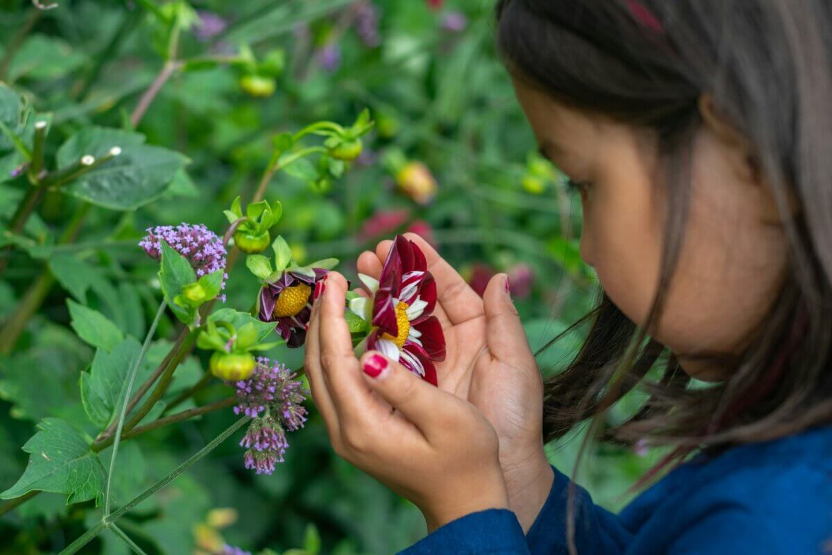 Looking at a flower