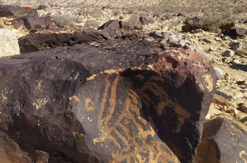 Desert-loving fungi and lichens pose deadly threat to 5,000-year-old rock art