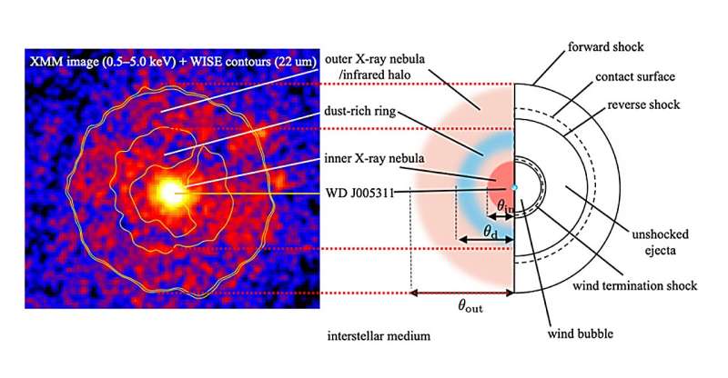 A new wind blows from a historic supernova