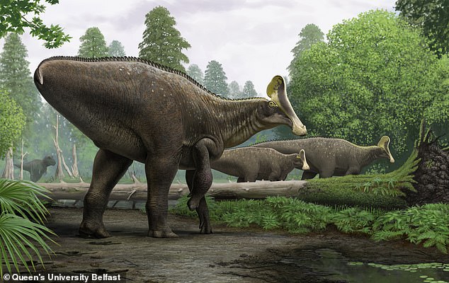 Hadrosaurs are a large family of giant, herbivorous dinosaurs, comprising at least 61 identified and individual species, with perhaps hundreds of unique species once roaming the Earth, experts say. The hadrosaurs above are an artist's reconstruction of a Russian discovery