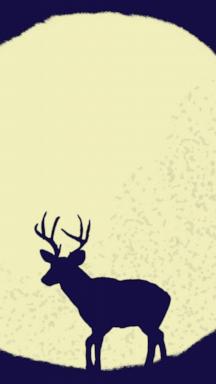 July Full Moon: What the Deer Moon Means for Your Zodiac Sign