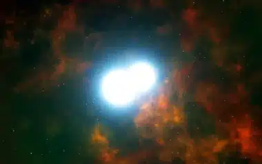 White dwarf collisions L