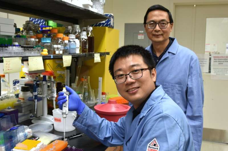 New additive process can produce better, more environmentally friendly chemicals