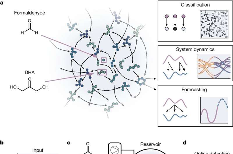 Scientists demonstrate chemical reservoir calculation using formose reaction